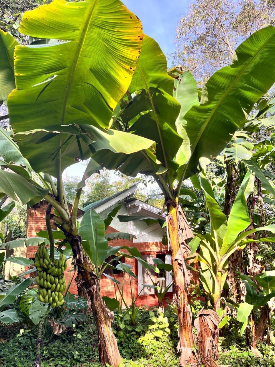 Raices Amambai Lodges Puerto Iguazu Luaran gambar